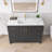 48" Single Bathroom Vanity Set in Dark Gray With Solid Surface Top (Assembled)