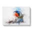Robin Bird In Abstract - Wrapped Canvas-55339872