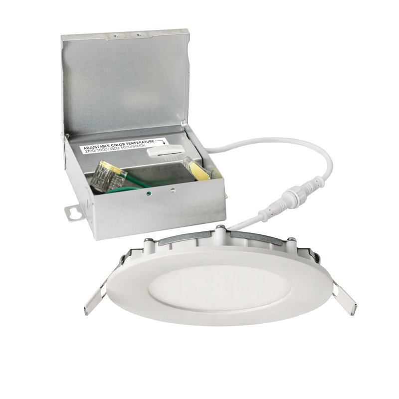 Petree Acrylic LED Flush Mount