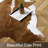 Novelty Christann Commercial Use Faux Cowhide Area Rug with Non-Slip Backing-1620761323