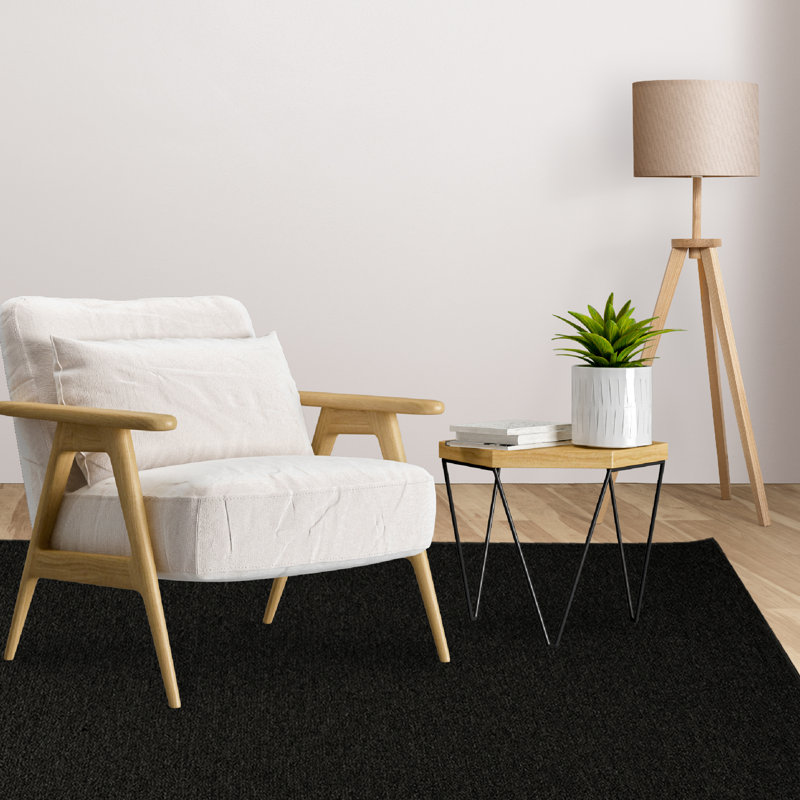 Indoor Outdoor Pet and Kids Friendly Solid Color Black Area Rugs, Stain & Fade Resistance,  Perfect for Patio, Deck, Picnic, Beach, Backyard, Event, Camping & Wedding Rug