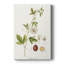 Passion Flower Trio II -Galery Enveloppé Cavas-1307039919