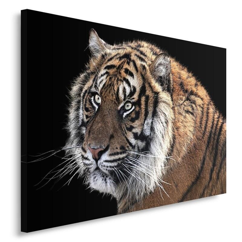 Tiger 3 - Wrapped Canvas Panting Druck