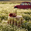 Jardine Tablecloth-1083597347-1101836604