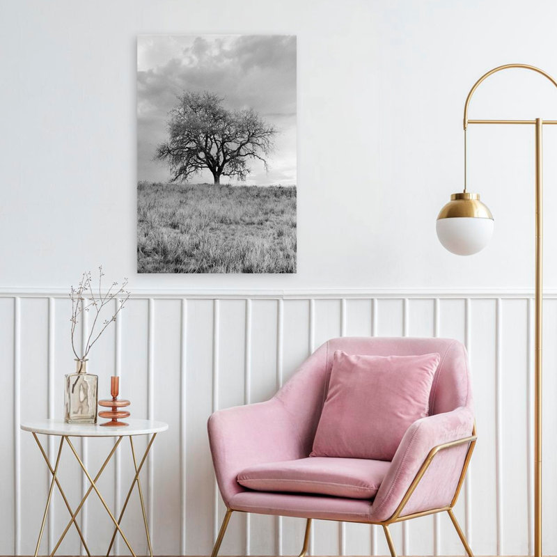 Coastal Oak Series No. 26 - Paysages, photographie, arbres, art, H 24 po x l 16 po