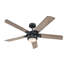 Ventilateur de plafond standard à DEL à 5 pales de 52 po avec télécommande et ensemble d'éclairage inclus