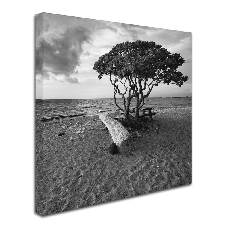«Hawaiian Tree» par Macri, reproduction de photo sur toile tendue, H 35 po x l 35 po x P 2 po