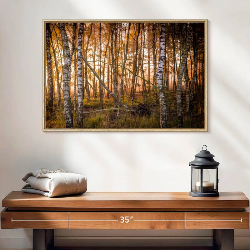 Forêt de bouleaux sombre, 25 po x 17 po, Cadre flottant en bois naturel
