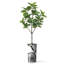 Arbre artificiel avec pot à fleurs en forme de faux drapeau Magnolia (pot en pot et arbre)-104347616