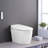 Self-Cleaning Nozzle Smart Toilet, Pre-Wet, Remote Control Flush. Ceramic, 27.54In Depth, 100.31Lb Package Weight, Night Ceramic , Blackout Flush, Control. 16In Width, 23.62In Height