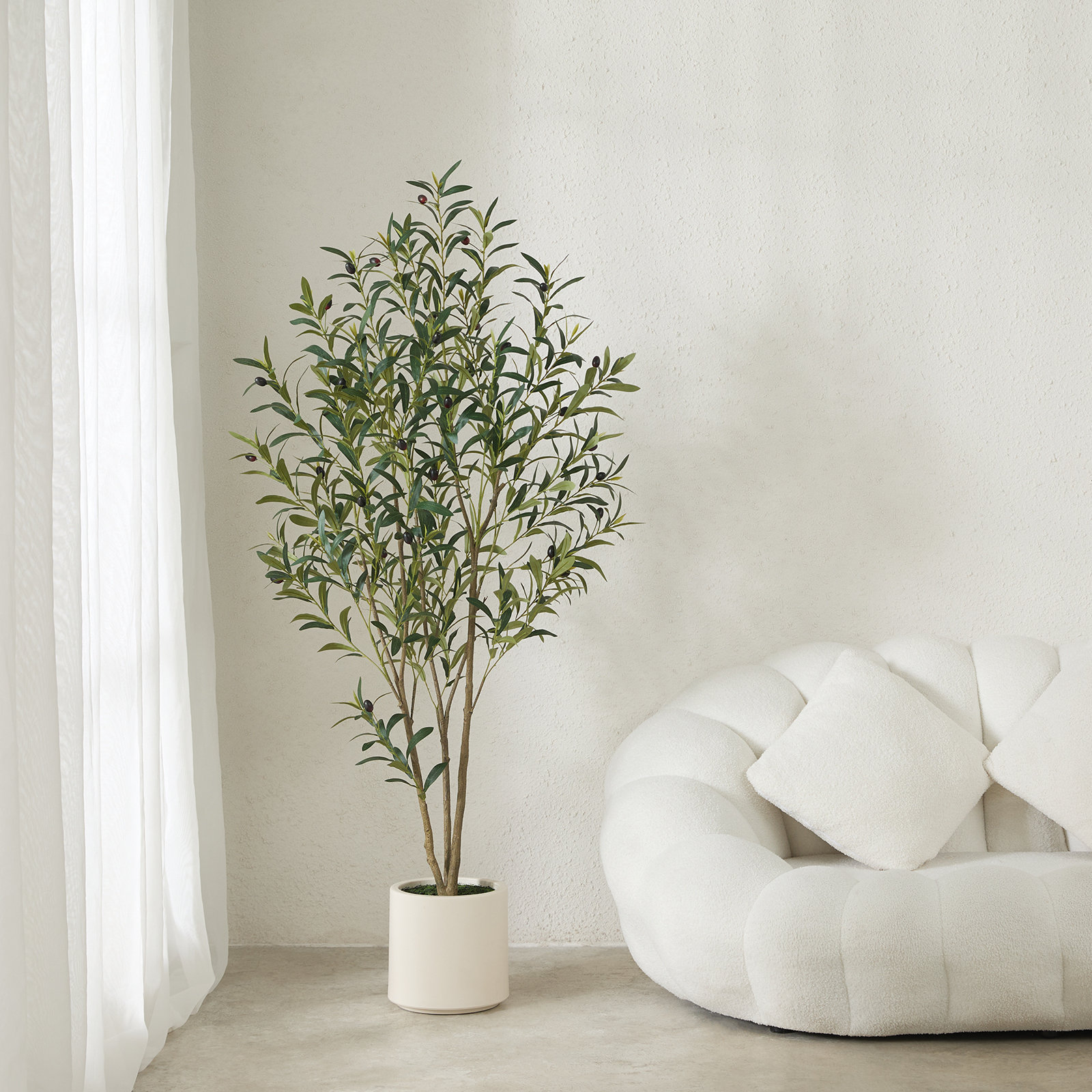 George Olive Tree in Planter, 60" H x 20" W x 20" D