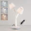 Brylen Metal Novelty Lamp
