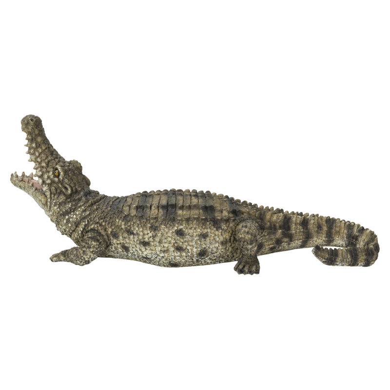 Crocodile avec la gueule ouverte