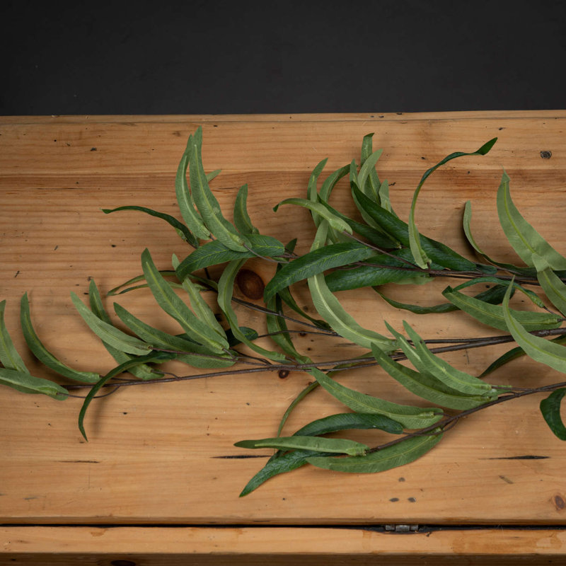 Anastasija Arrangement