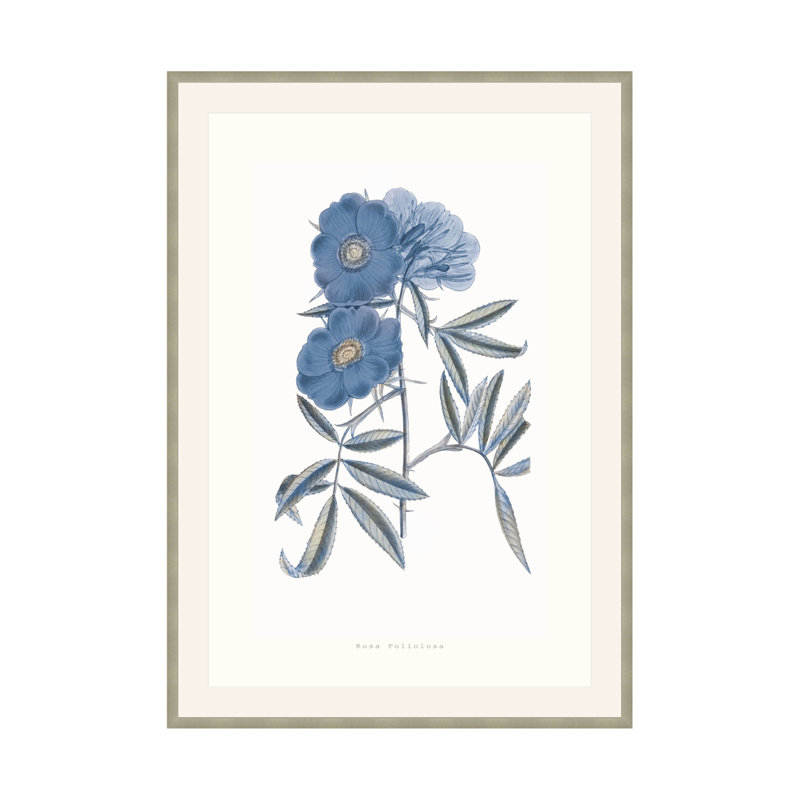 Bouquet Blue 2 Print by Studio L57 Nouvelle, 23.75" H x 17.75" W