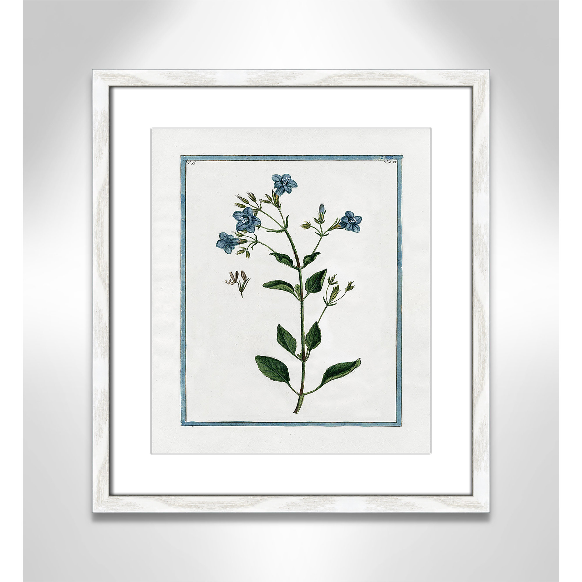 Shabby Elegance Botanical II - Framed Art, 13" W x 15" H, White Framed