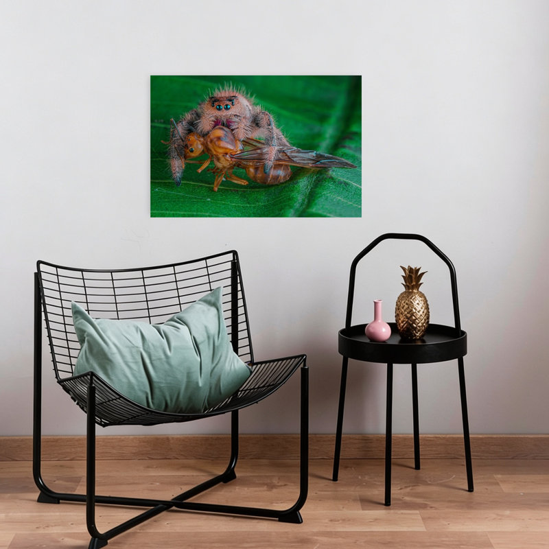 Jumping Spider'S Catch Contemporary Ant Spider Wall Art Print 1 Piece Wrapped Canvas Wall Art, 40.64cm H x 60.96cm W