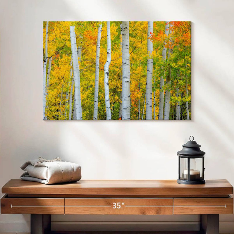 Arbres Telluride d'Alvord, H 24 po x l 36 po
