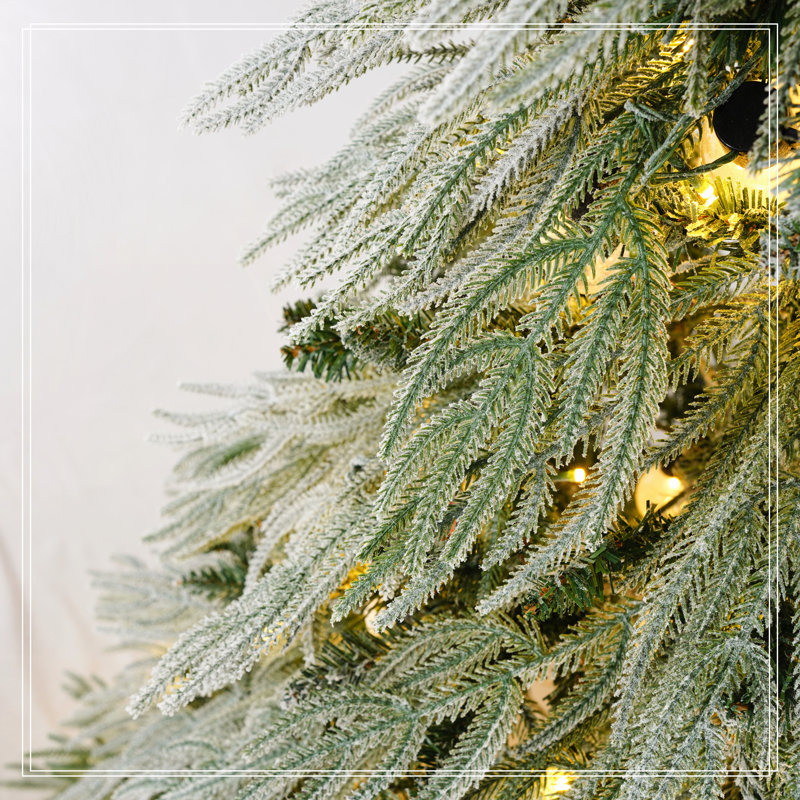 Arbre de Noël 5 pi, H 4,9 pi