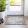 Aleighna Area Rug with Non-Slip Backing