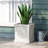 PLANTER-1167836007