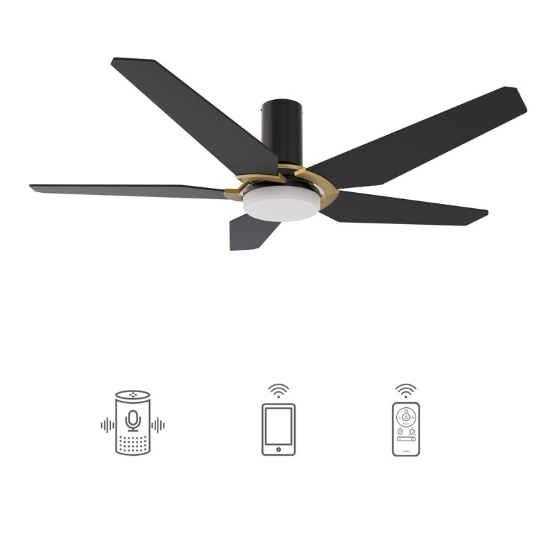 Smart DC Ceiling Fan with Light, Remote Control Flush-Mounted, Black/Gold, 48"