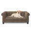 Lit rectangulaire pour petits et moyens chiens, canapé-lit surélevé durable, tissu en lin moderne et tendance