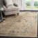 Emmie Oriental Hand Woven Area Rug