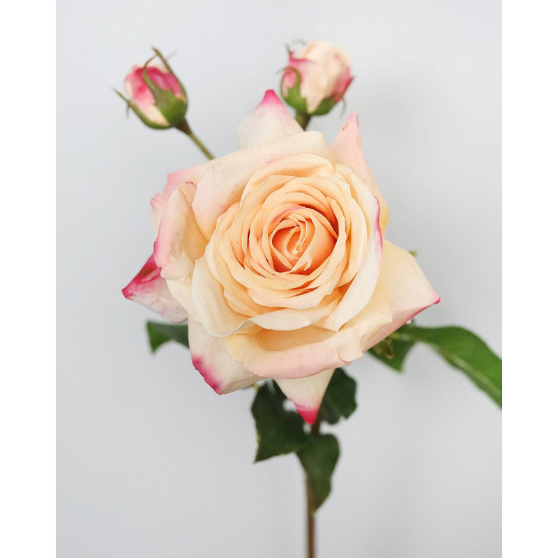 Real Touch Prestige Soft Yellow Rose 22", Yellow