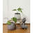 Ceramic Planter Ceramic Table Vase-93564557
