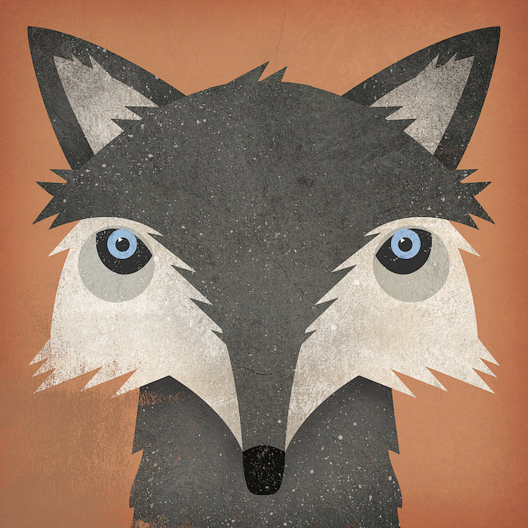 « bois loup » par ryan fowler, impression sur toile tendue, H 12 po x l 12 po x P 1,5 po, Toile tendue, Pas de tapis