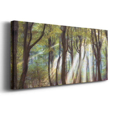 Majestic- Gallery Wrapped Canvas -Ready to Hang