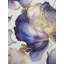 Altom 32.97cm x 20.87cm Matte Roll