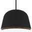 Aaila 4-Light Matte Black Pendant Light