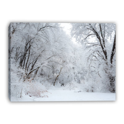 Winter Woodland Passage Wrapped Canvas Wall Art