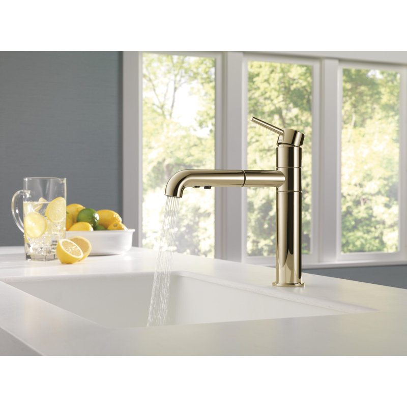 Single Handle Pull-Out Kitchen Faucet, Polished Nickel