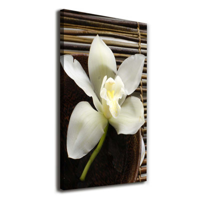 Orchid - Wrapped Canvas Print