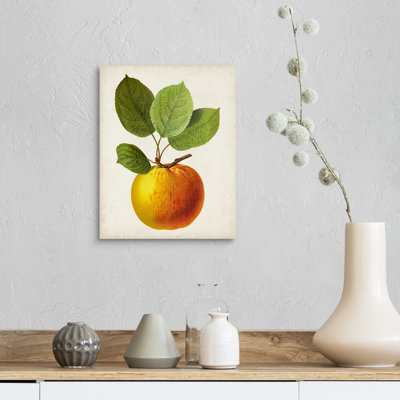 Antique Fruit I - reproduction d'art sur toile