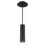 Caliber 1 - Light LED Outdoor Pendant-39529050