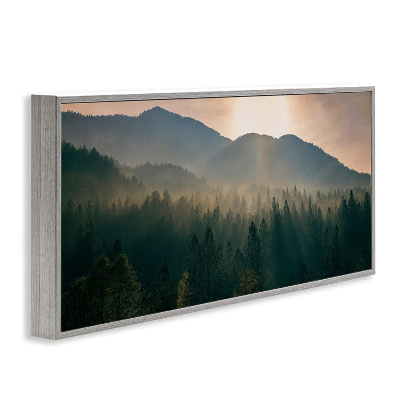 «Morning Sun over Misty Trees», estampe numérique par Dora Artemiadi, H 10 po x l 24 po, Estampe numérique Farmhouse
