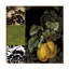 Art sur toile «Bachelor Sasha Damask Lerain I»-104137997