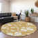  Machine Washable Indoor/Outdoor Chayden ACN1032 Rug