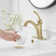 Single-Hole Single-handle Bathroom Faucet with Drain Assembly