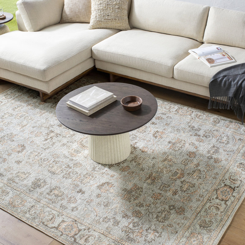 Theia Vintage Look Machine Woven Gray,Tan,Charcoal,Brown,Cream,LightBeige Area Rug, Rectangle 160 x 213cm