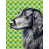Flat-coated retriever sélectionné