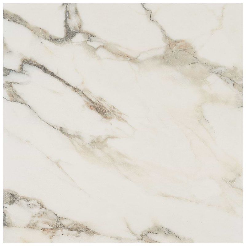 Dreamstone 24X24 Matte Porcelain Tile, Calacatta Rustico Matte