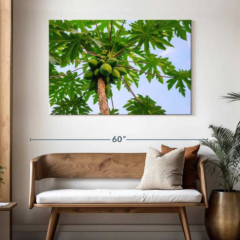 Harnek Papaya Tree