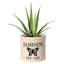 Pot de fleurs en céramique avec papillon personnalisé Woodlake-29112937-29366213