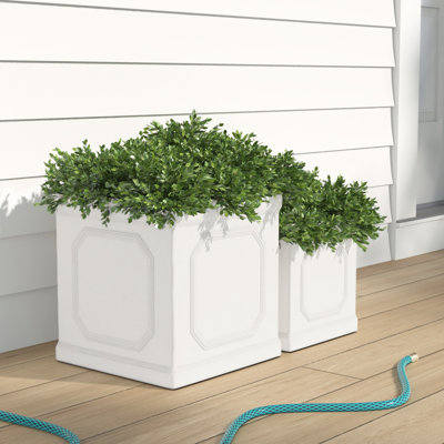 Colangelo Handmade Pot Planter