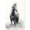 Art mural de cuisine Grassy Steed IV par Art Remedy, prêt à accrocher, 36 x 54